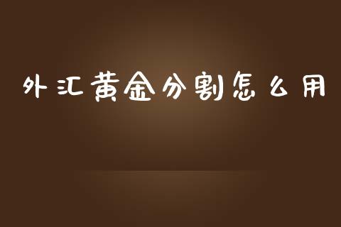 外汇黄金分割怎么用_https://m.jnlaobingbanjia.com_全球市场_第1张