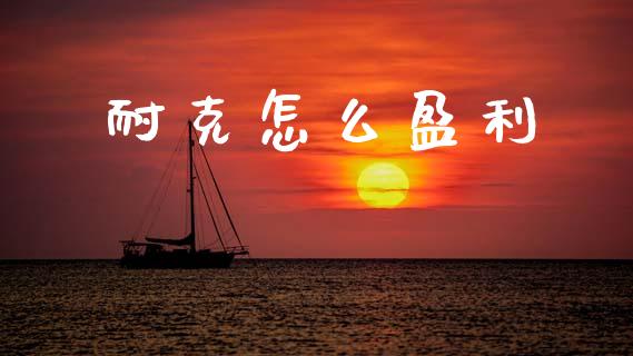 耐克怎么盈利_https://m.jnlaobingbanjia.com_金融监管_第1张