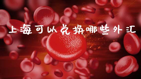 上海可以兑换哪些外汇_https://m.jnlaobingbanjia.com_全球市场_第1张