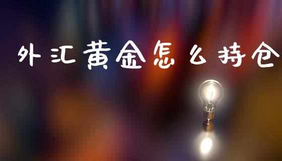 外汇黄金怎么持仓_https://m.jnlaobingbanjia.com_理财规划_第1张