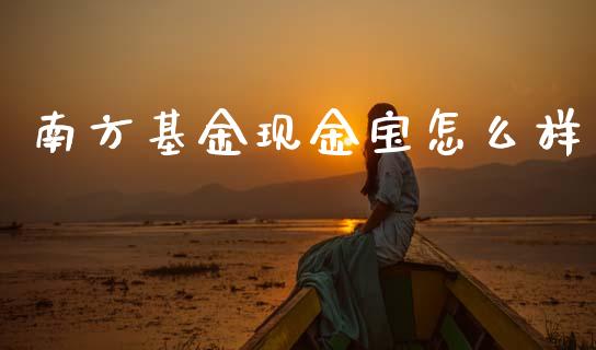 南方基金现金宝怎么样_https://m.jnlaobingbanjia.com_区块链_第1张