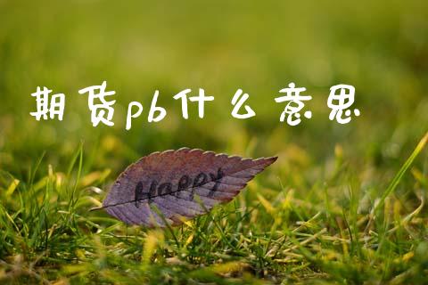 期货pb什么意思_https://m.jnlaobingbanjia.com_金融监管_第1张
