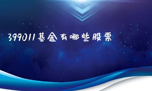 399011基金有哪些股票_https://m.jnlaobingbanjia.com_区块链_第1张
