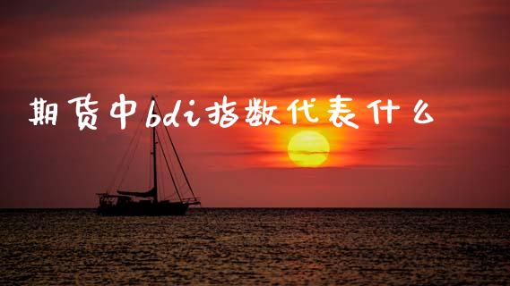 期货中bdi指数代表什么_https://m.jnlaobingbanjia.com_全球市场_第1张