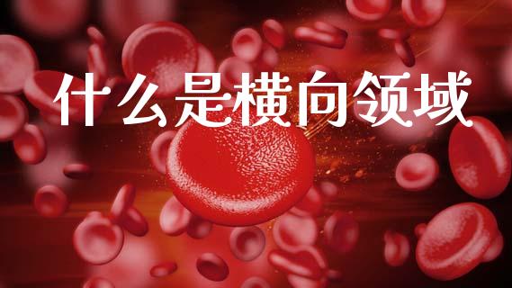 什么是横向领域_https://m.jnlaobingbanjia.com_全球市场_第1张