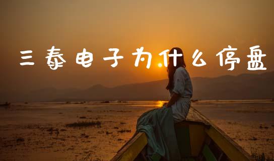 三泰电子为什么停盘_https://m.jnlaobingbanjia.com_基金市场_第1张
