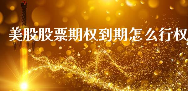 美股股票期权到期怎么行权_https://m.jnlaobingbanjia.com_全球市场_第1张