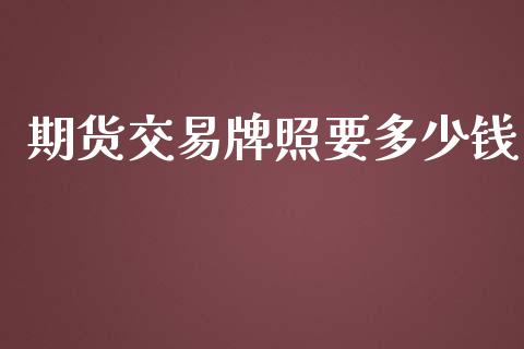 期货交易牌照要多少钱_https://m.jnlaobingbanjia.com_金融监管_第1张