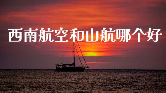 西南航空和山航哪个好_https://m.jnlaobingbanjia.com_理财规划_第1张