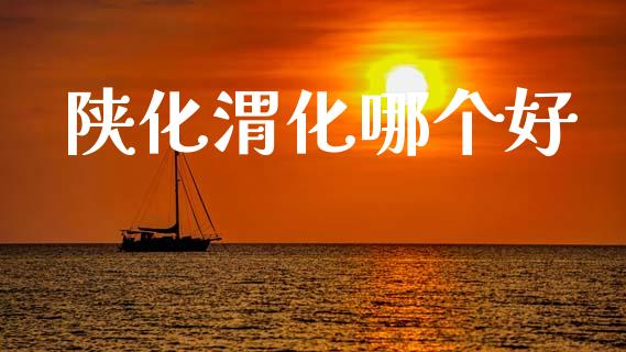 陕化渭化哪个好_https://m.jnlaobingbanjia.com_金融监管_第1张