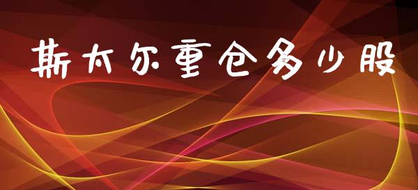 斯太尔重仓多少股_https://m.jnlaobingbanjia.com_金融监管_第1张