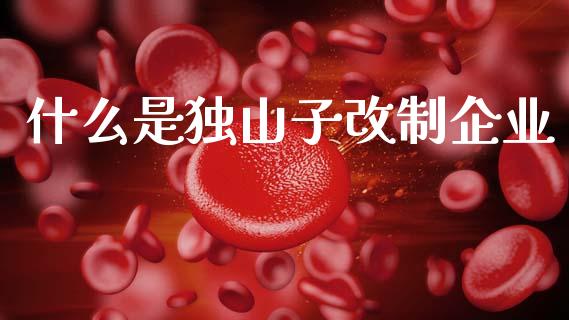 什么是独山子改制企业_https://m.jnlaobingbanjia.com_全球市场_第1张