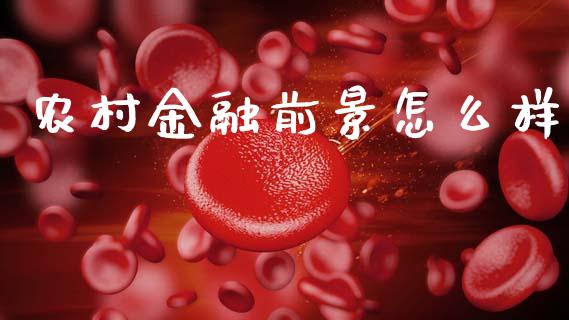 农村金融前景怎么样_https://m.jnlaobingbanjia.com_金融监管_第1张
