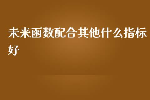 未来函数配合其他什么指标好_https://m.jnlaobingbanjia.com_全球市场_第1张