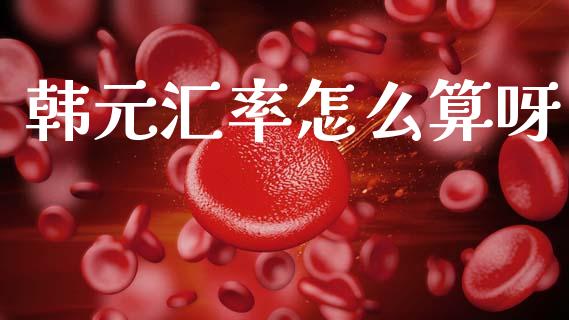 韩元汇率怎么算呀_https://m.jnlaobingbanjia.com_理财规划_第1张