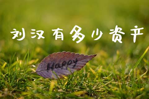 刘汉有多少资产_https://m.jnlaobingbanjia.com_全球市场_第1张