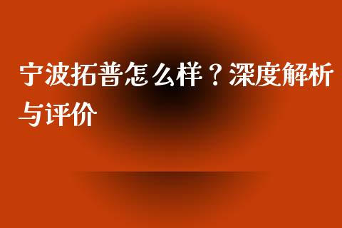 宁波拓普怎么样？深度解析与评价_https://m.jnlaobingbanjia.com_全球市场_第1张