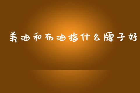 美油和布油指什么牌子好_https://m.jnlaobingbanjia.com_基金市场_第1张