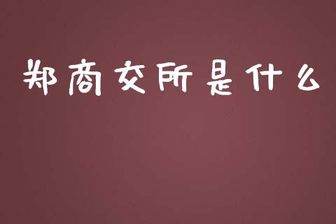 郑商交所是什么_https://m.jnlaobingbanjia.com_理财规划_第1张