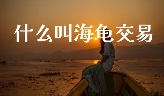 什么叫海龟交易_https://m.jnlaobingbanjia.com_理财规划_第1张