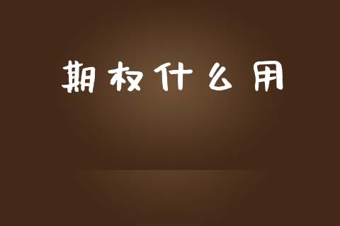 期权什么用_https://m.jnlaobingbanjia.com_基金市场_第1张