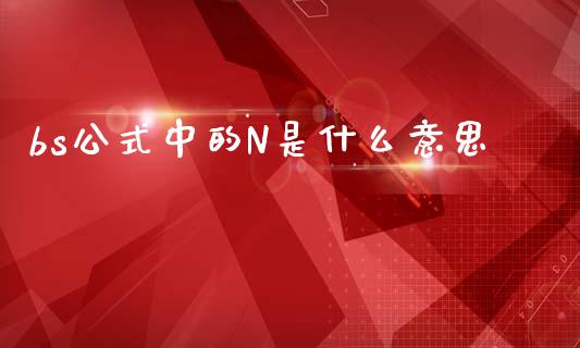 bs公式中的N是什么意思_https://m.jnlaobingbanjia.com_理财规划_第1张