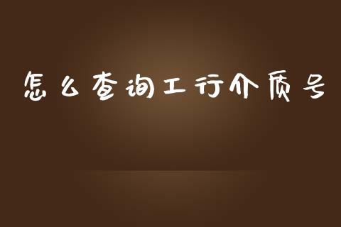 怎么查询工行介质号_https://m.jnlaobingbanjia.com_金融监管_第1张