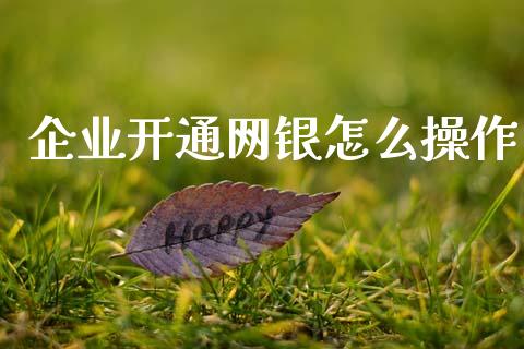 企业开通网银怎么操作_https://m.jnlaobingbanjia.com_基金市场_第1张