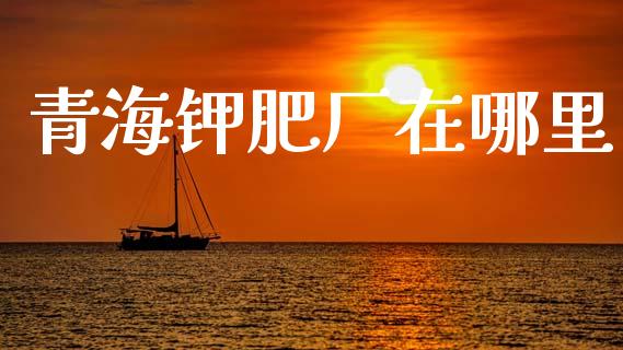 青海钾肥厂在哪里_https://m.jnlaobingbanjia.com_基金市场_第1张