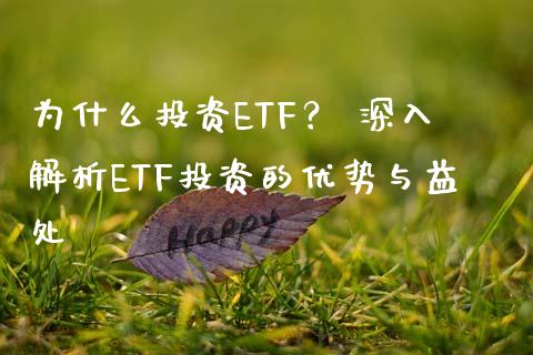为什么投资ETF？ 深入解析ETF投资的优势与益处_https://m.jnlaobingbanjia.com_理财规划_第1张