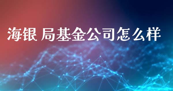 海银 局基金公司怎么样_https://m.jnlaobingbanjia.com_金融监管_第1张