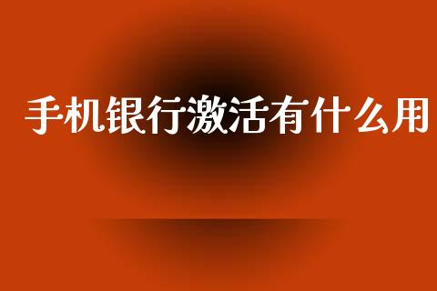 手机银行激活有什么用_https://m.jnlaobingbanjia.com_金融监管_第1张