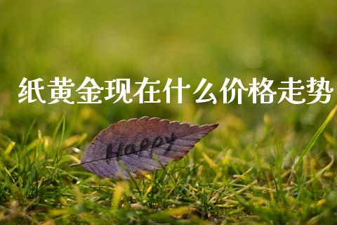 纸黄金现在什么价格走势_https://m.jnlaobingbanjia.com_金融监管_第1张