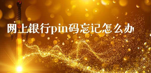 网上银行pin码忘记怎么办_https://m.jnlaobingbanjia.com_股市新闻_第1张