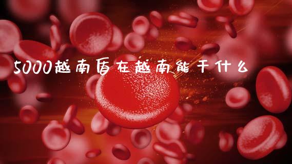 5000越南盾在越南能干什么_https://m.jnlaobingbanjia.com_区块链_第1张