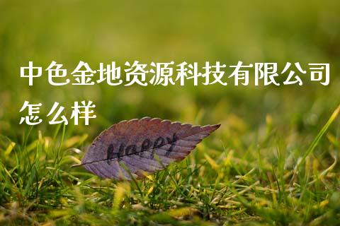 中色金地资源科技有限公司怎么样_https://m.jnlaobingbanjia.com_金融监管_第1张