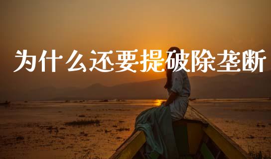 为什么还要提破除垄断_https://m.jnlaobingbanjia.com_股市新闻_第1张