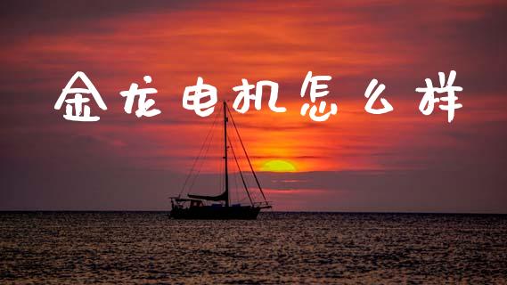 金龙电机怎么样_https://m.jnlaobingbanjia.com_理财规划_第1张