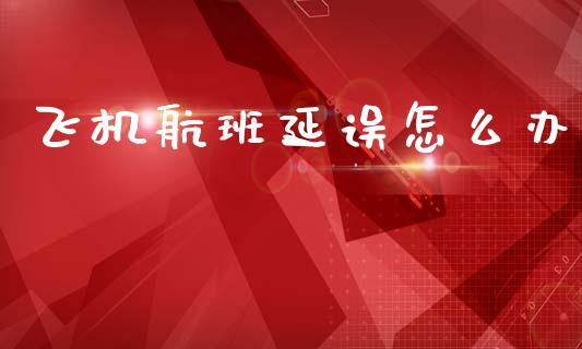 飞机航班延误怎么办_https://m.jnlaobingbanjia.com_金融监管_第1张