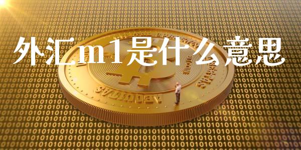 外汇m1是什么意思_https://m.jnlaobingbanjia.com_金融监管_第1张