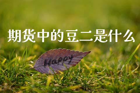 期货中的豆二是什么_https://m.jnlaobingbanjia.com_全球市场_第1张