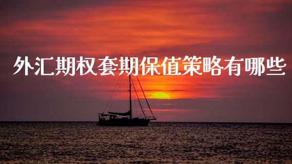 外汇期权套期保值策略有哪些_https://m.jnlaobingbanjia.com_全球市场_第1张