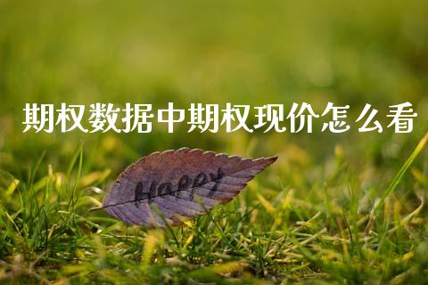 期权数据中期权现价怎么看_https://m.jnlaobingbanjia.com_理财规划_第1张