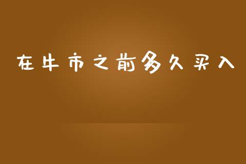 在牛市之前多久买入_https://m.jnlaobingbanjia.com_基金市场_第1张