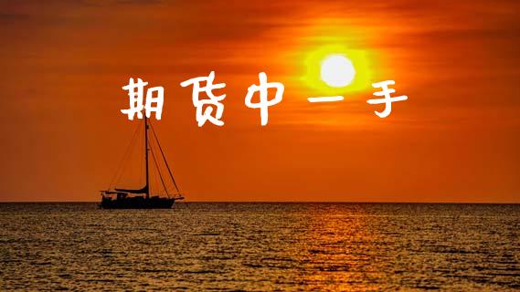 期货中一手_https://m.jnlaobingbanjia.com_金融监管_第1张
