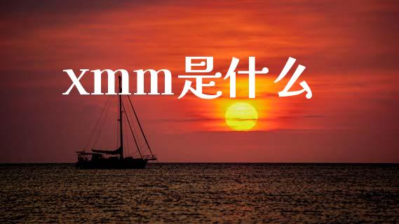 xmm是什么_https://m.jnlaobingbanjia.com_股市新闻_第1张