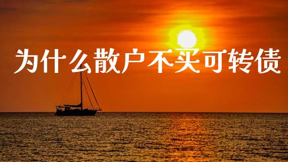 为什么散户不买可转债_https://m.jnlaobingbanjia.com_基金市场_第1张