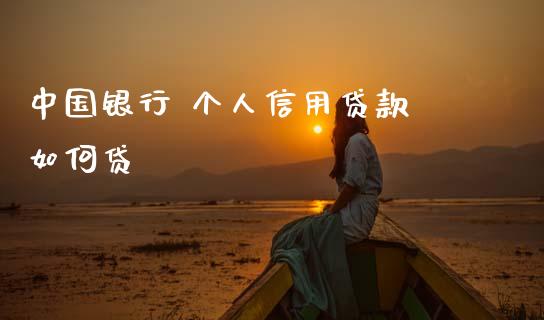 中国银行 个人信用贷款 如何贷_https://m.jnlaobingbanjia.com_基金市场_第1张