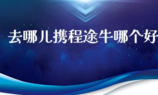 去哪儿携程途牛哪个好_https://m.jnlaobingbanjia.com_全球市场_第1张