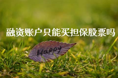 融资账户只能买担保股票吗_https://m.jnlaobingbanjia.com_全球市场_第1张
